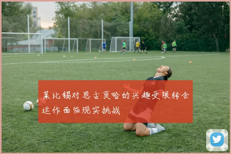 莱比锡对恩古莫哈的兴趣受限转会运作面临现实挑战